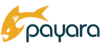 Payara